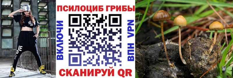 Псилоцибиновые грибы Magic Shrooms Радужный
